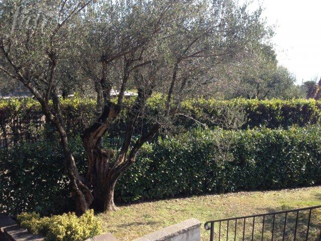 Itálie - Lago di Garda 415 H 4