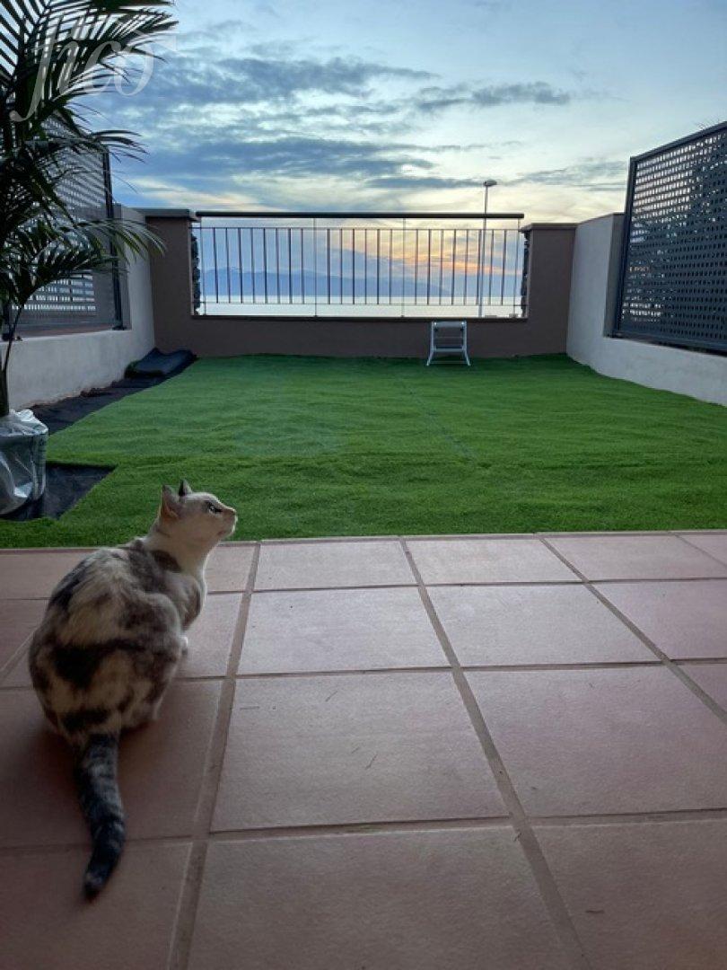 Tenerife - Puerto De Santiago 2