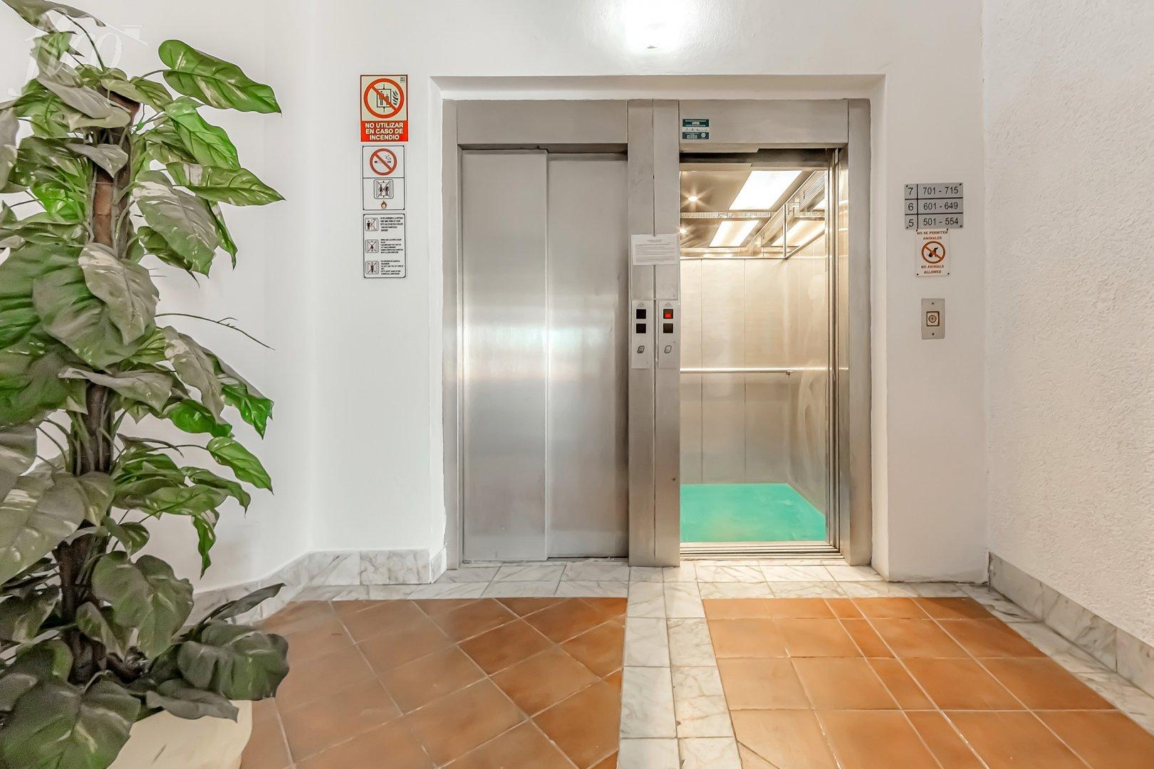 Tenerife - Torviscas Alto, Adeje 9