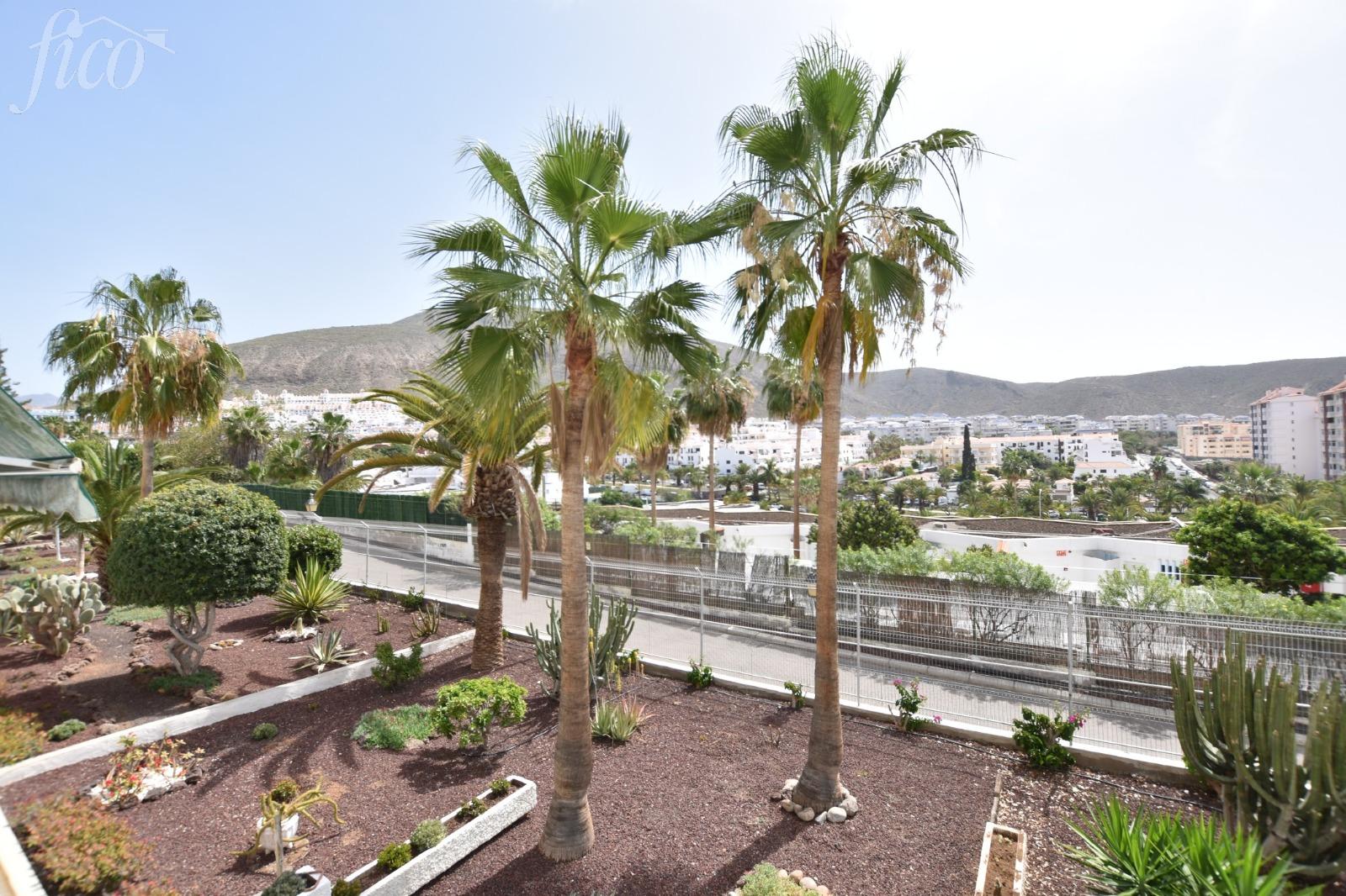 Tenerife - Los Cristianos 1