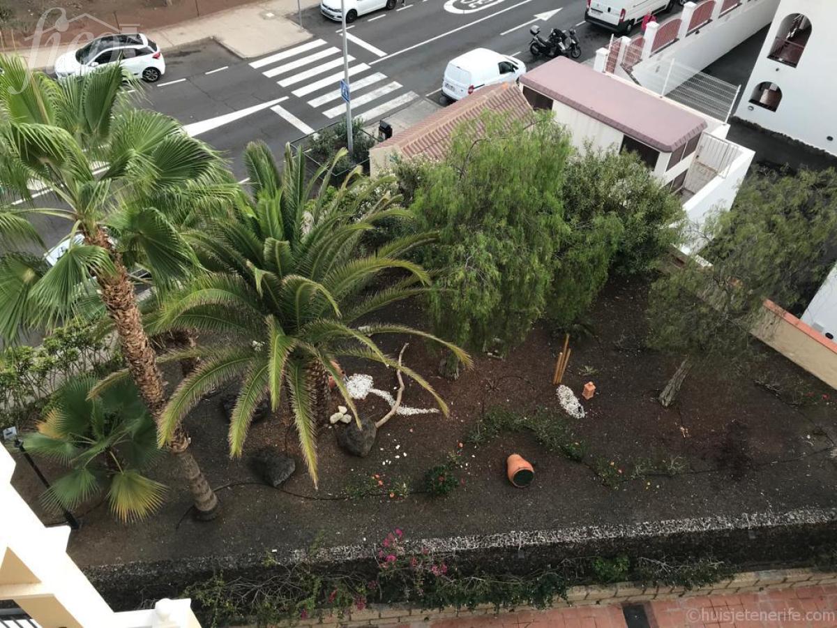 Tenerife - Los Cristianos 1