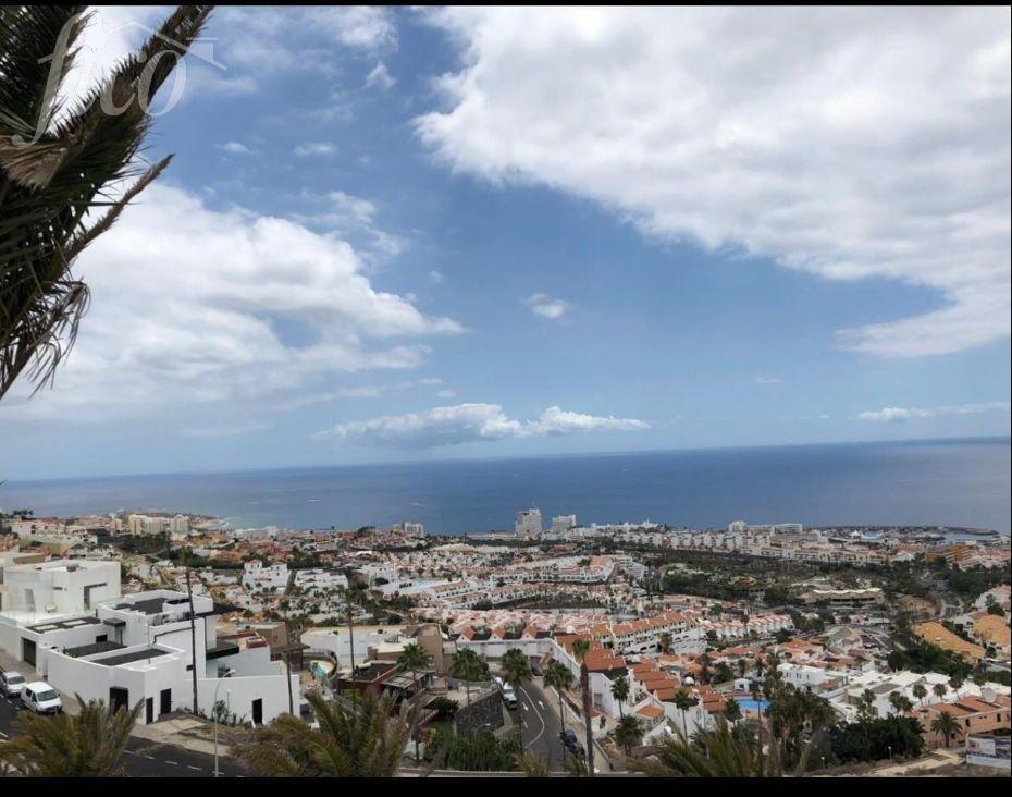 Tenerife - San Eugenio Alto 2
