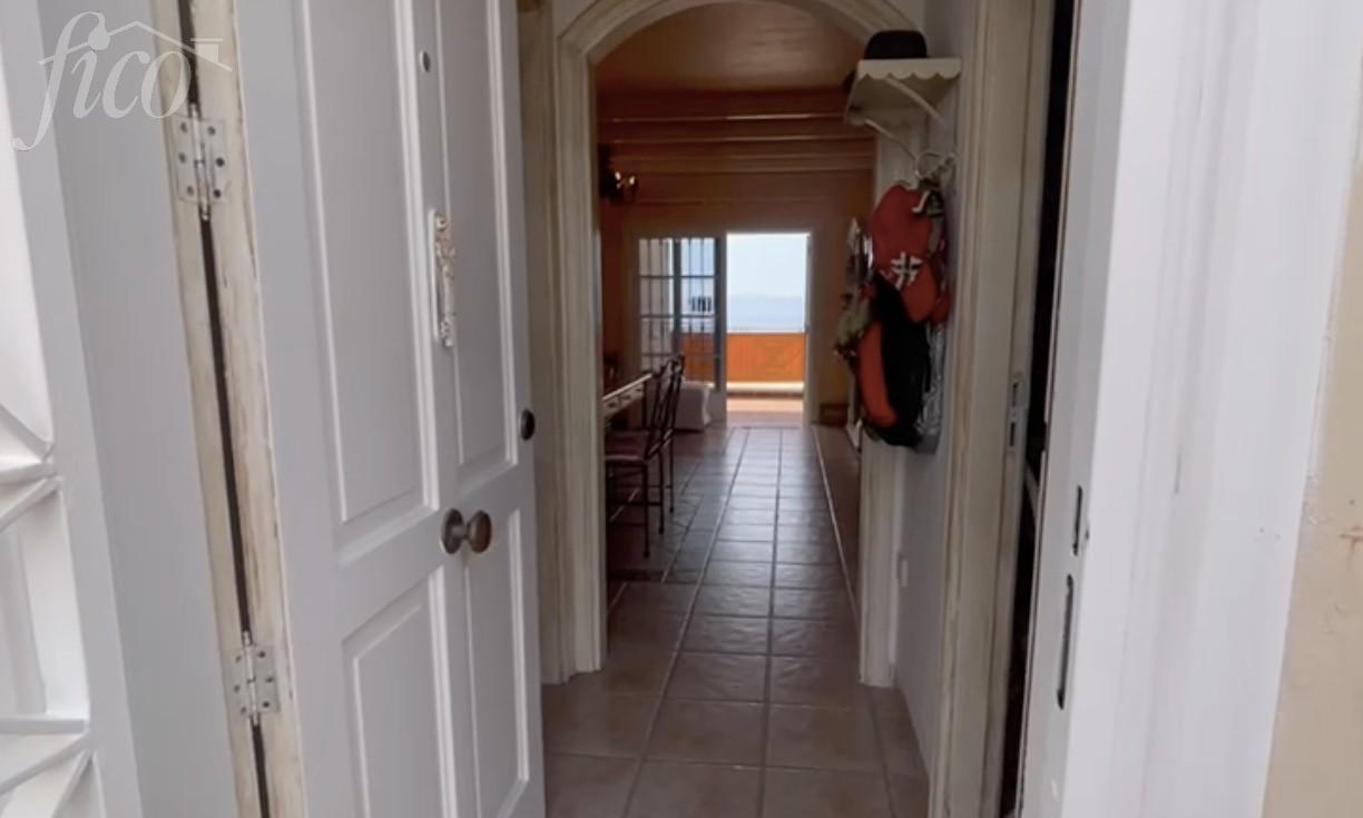 Tenerife - Torviscas Alto 1