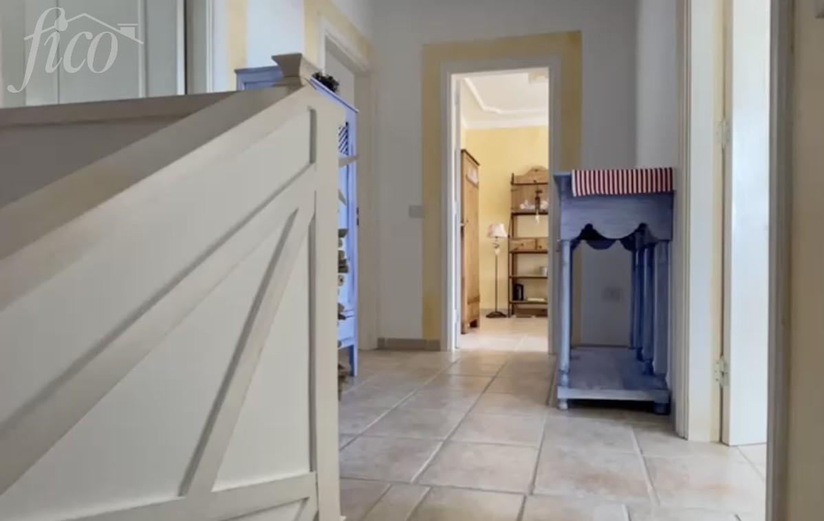 Tenerife - Torviscas Alto 9