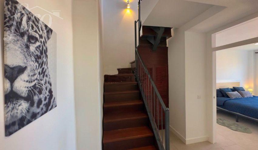 Tenerife - Callao Salvaje 1