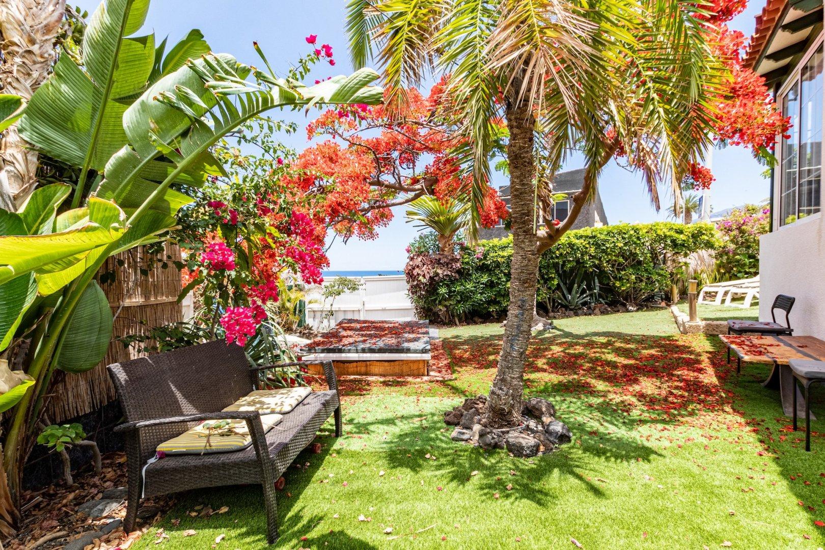 Tenerife - Puerto de Santiago 4