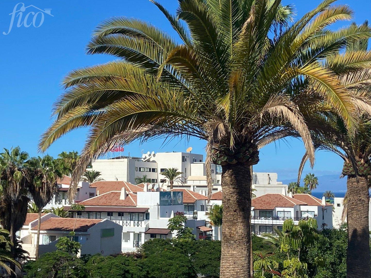 Tenerife -Playa Las Americas 5