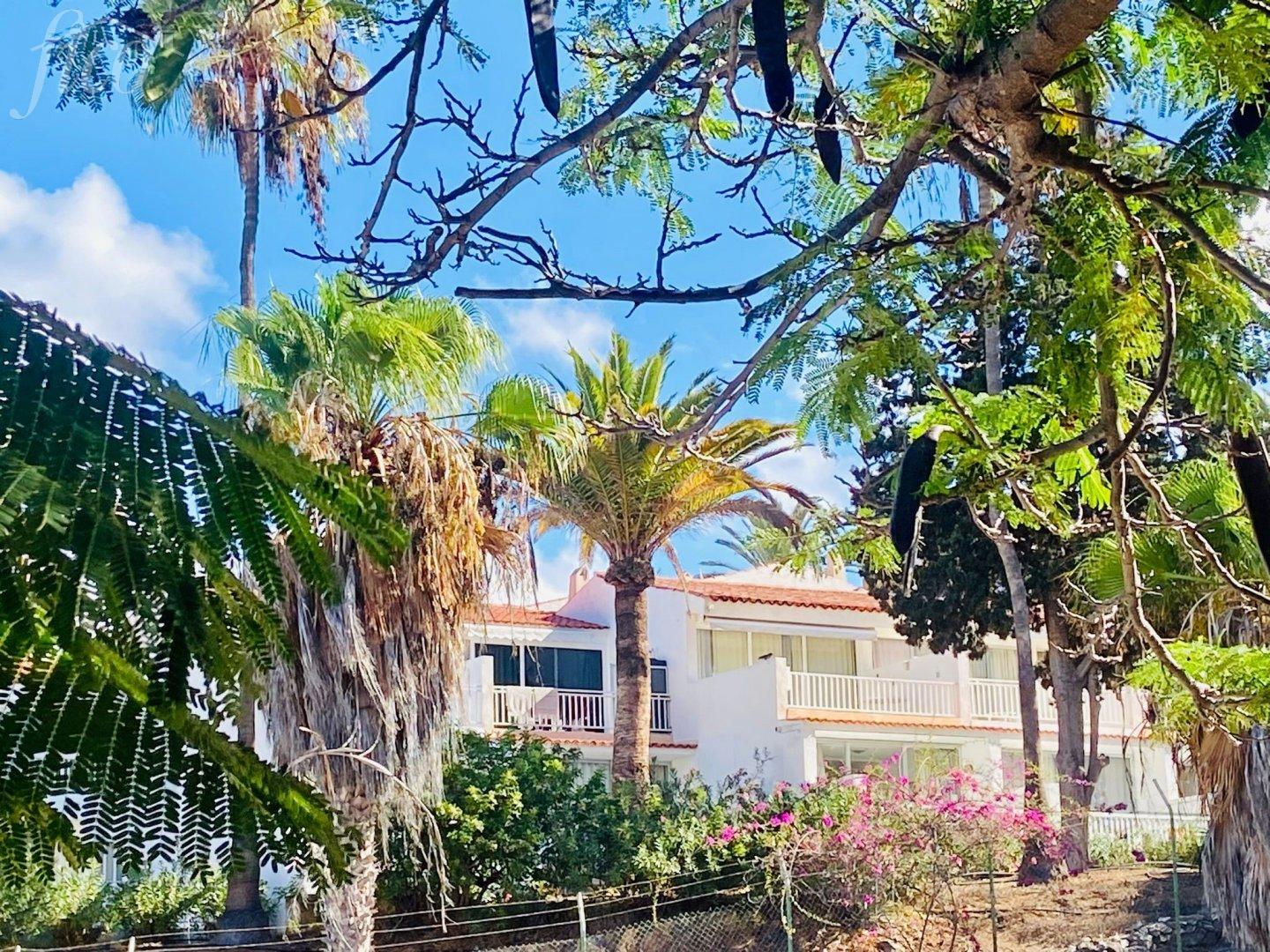 Tenerife -Playa Las Americas 7