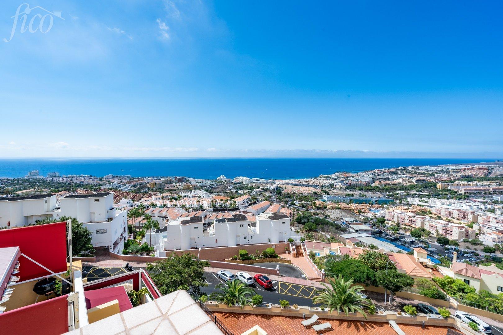 Tenerife - Torviscas Alto 2