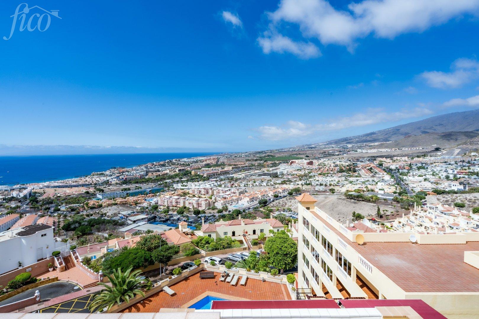 Tenerife - Torviscas Alto 4