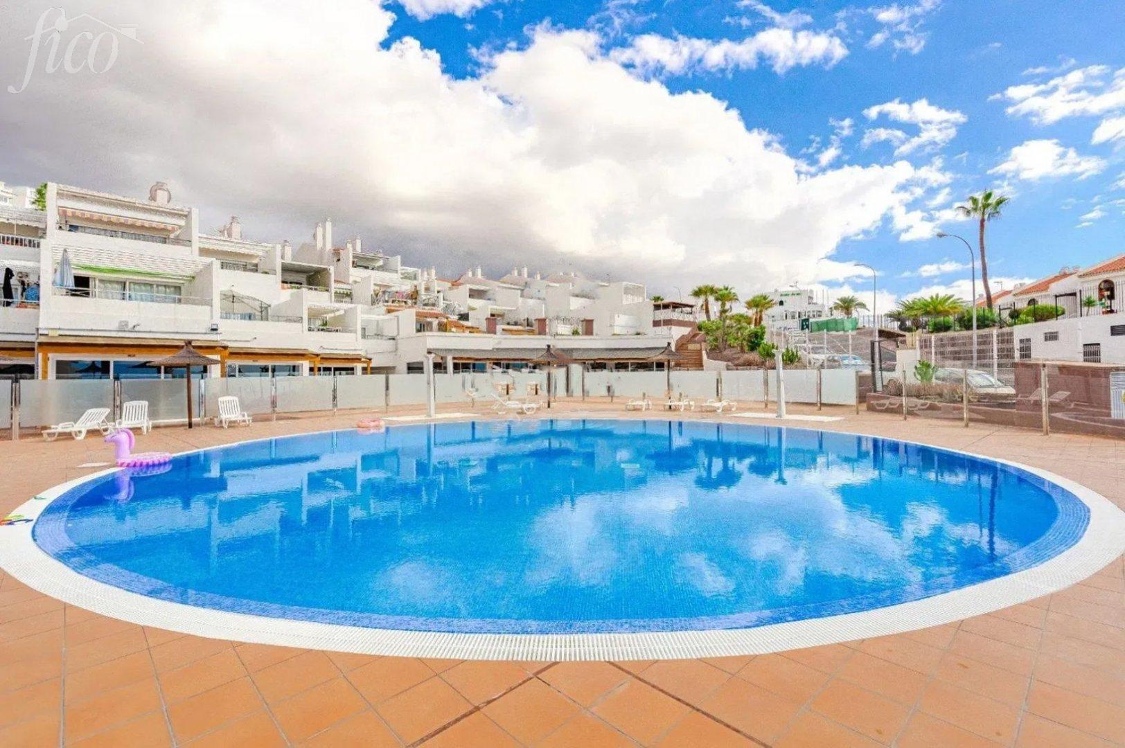 Tenerife - Torviscas Alto 5