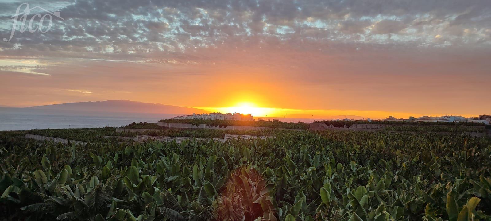 Tenerife - Playa Paraíso 7