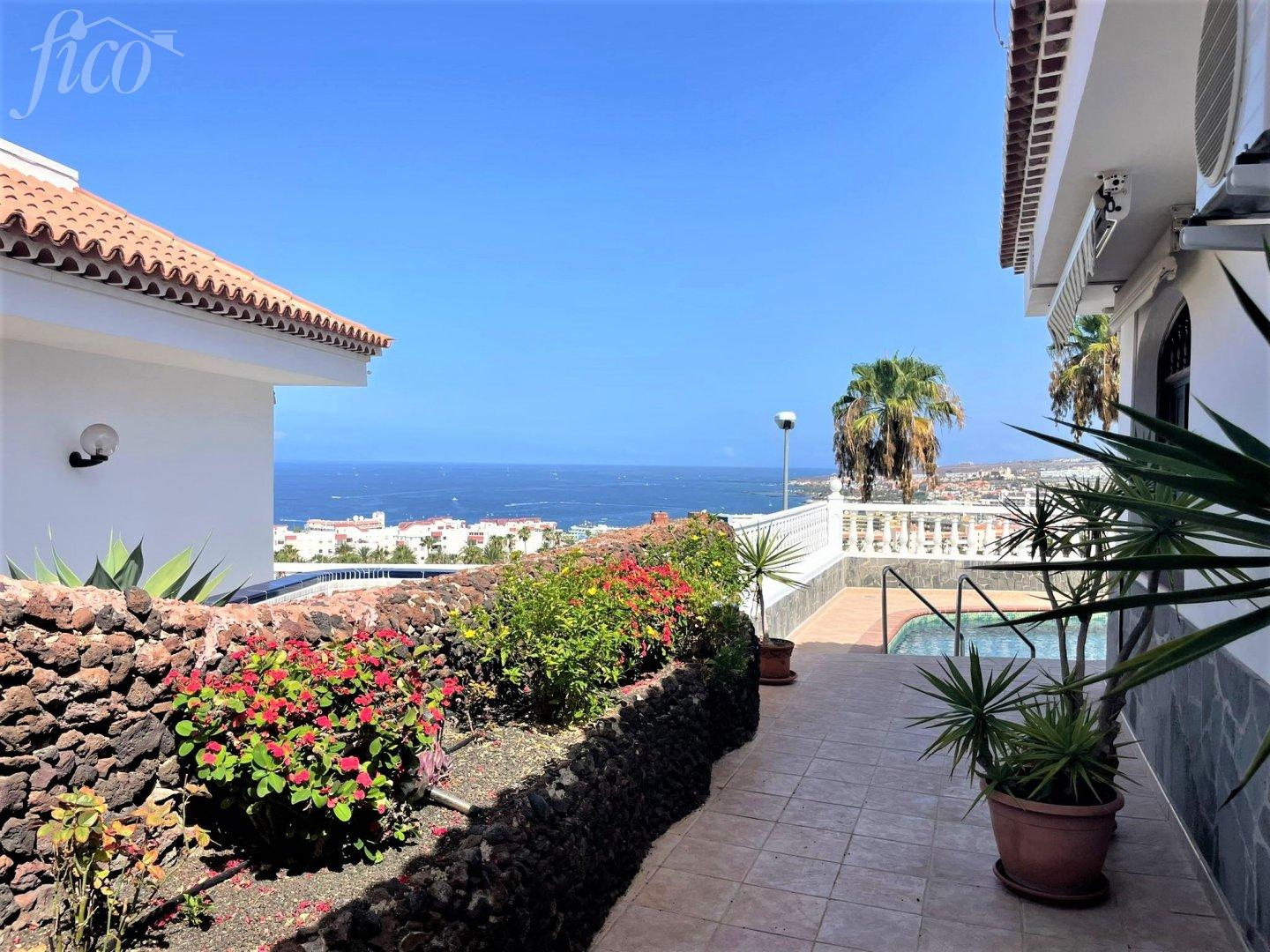 Tenerife - San Eugenio Alto 1