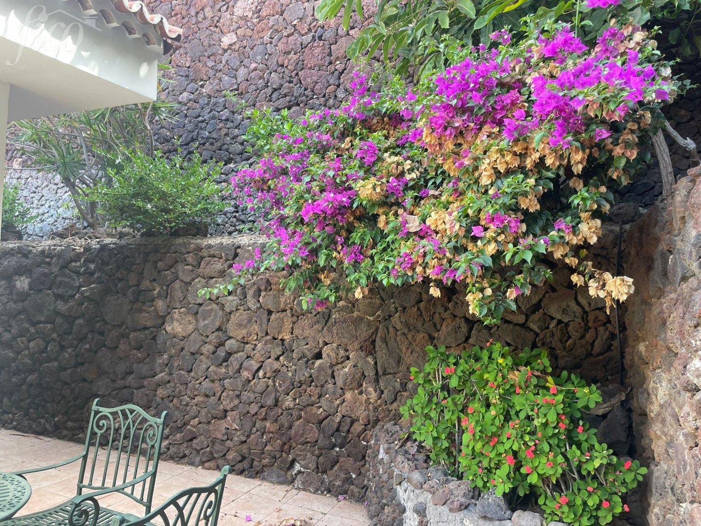 Tenerife - San Eugenio Alto 3