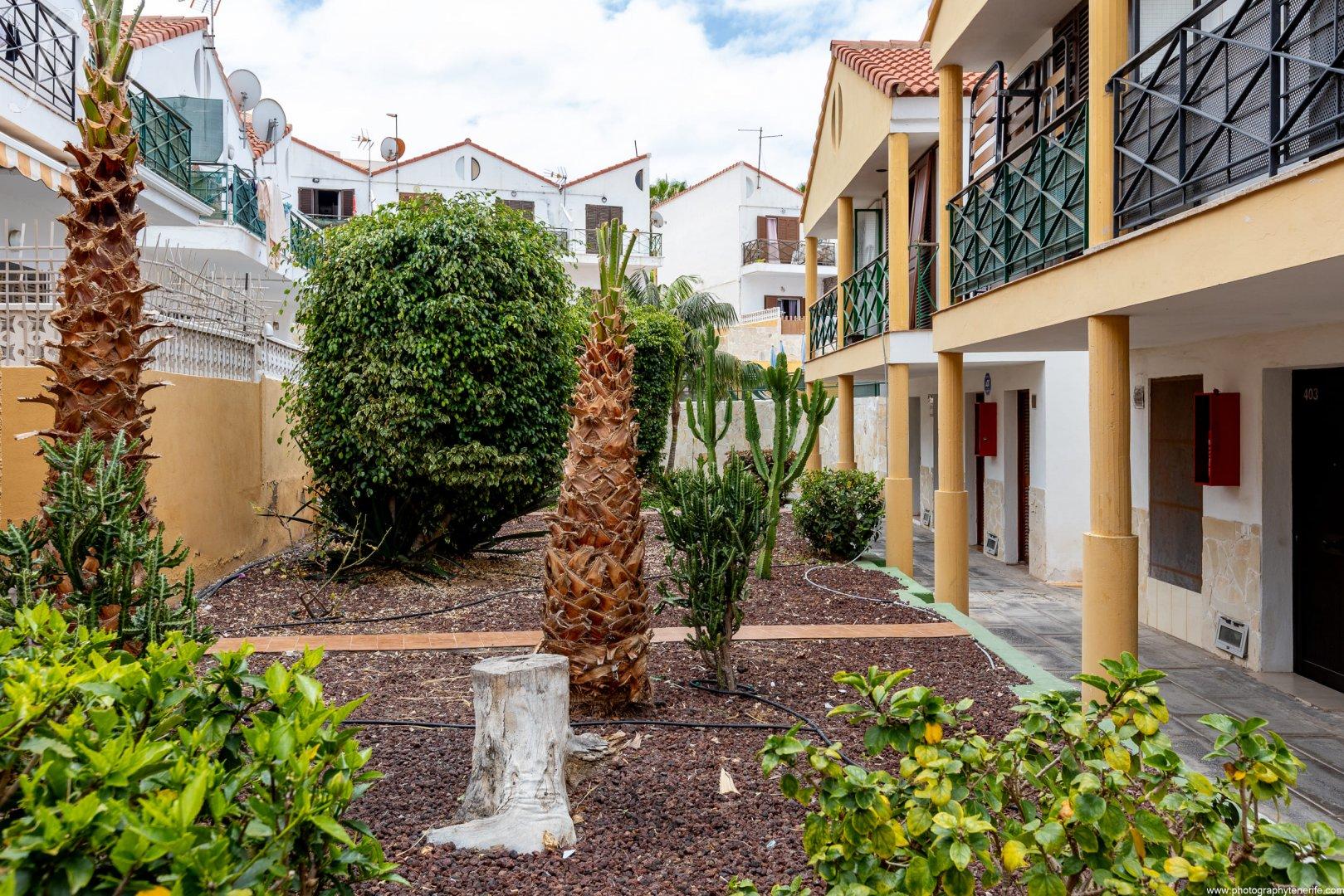 Tenerife - Playa de Las Américas 5