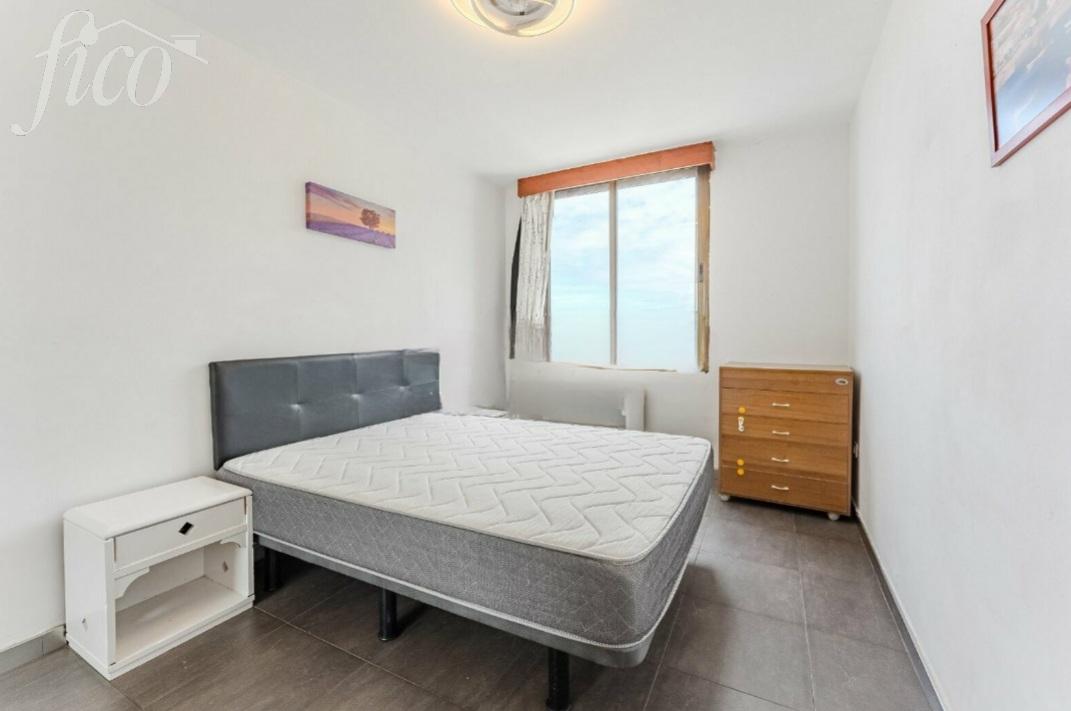 Tenerife - Torviscas Alto 4