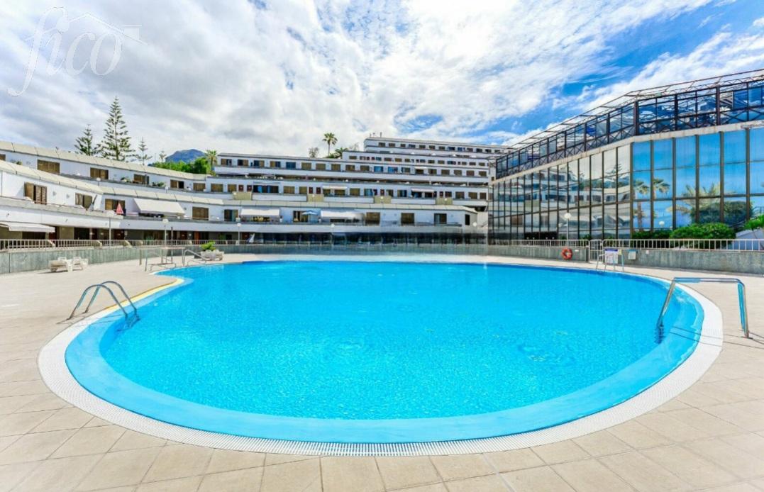 Tenerife - Torviscas Alto 9