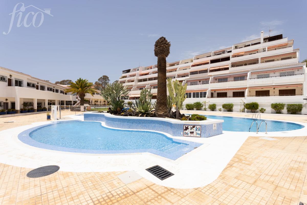 Tenerife - Los Cristianos 1