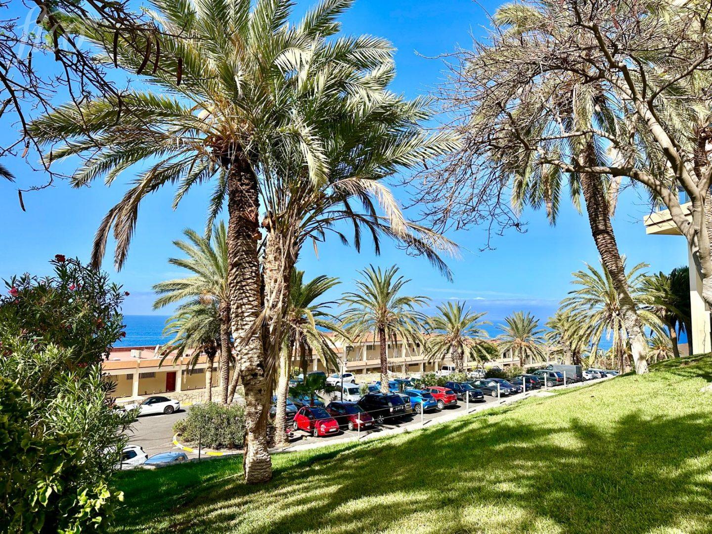 Tenerife - Callao Salvaje, Marazul del Sur 1