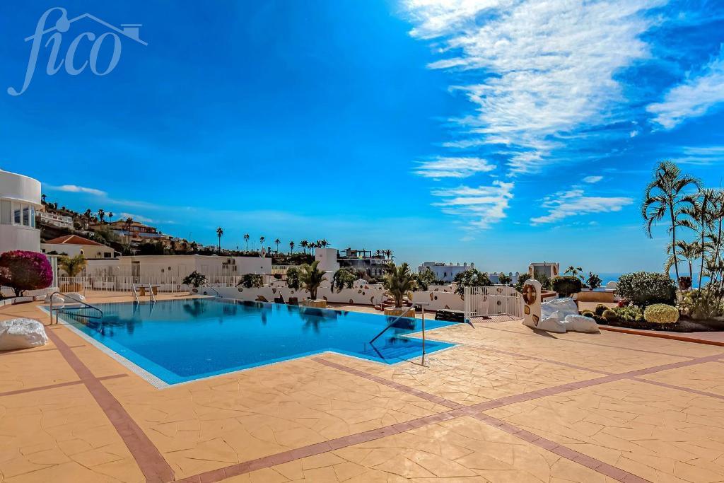 Tenerife - Torviscas Alto 1