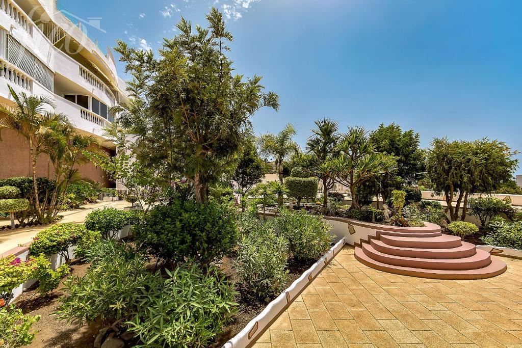 Tenerife - Torviscas Alto 2