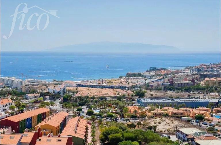 Tenerife - Torviscas Alto 3