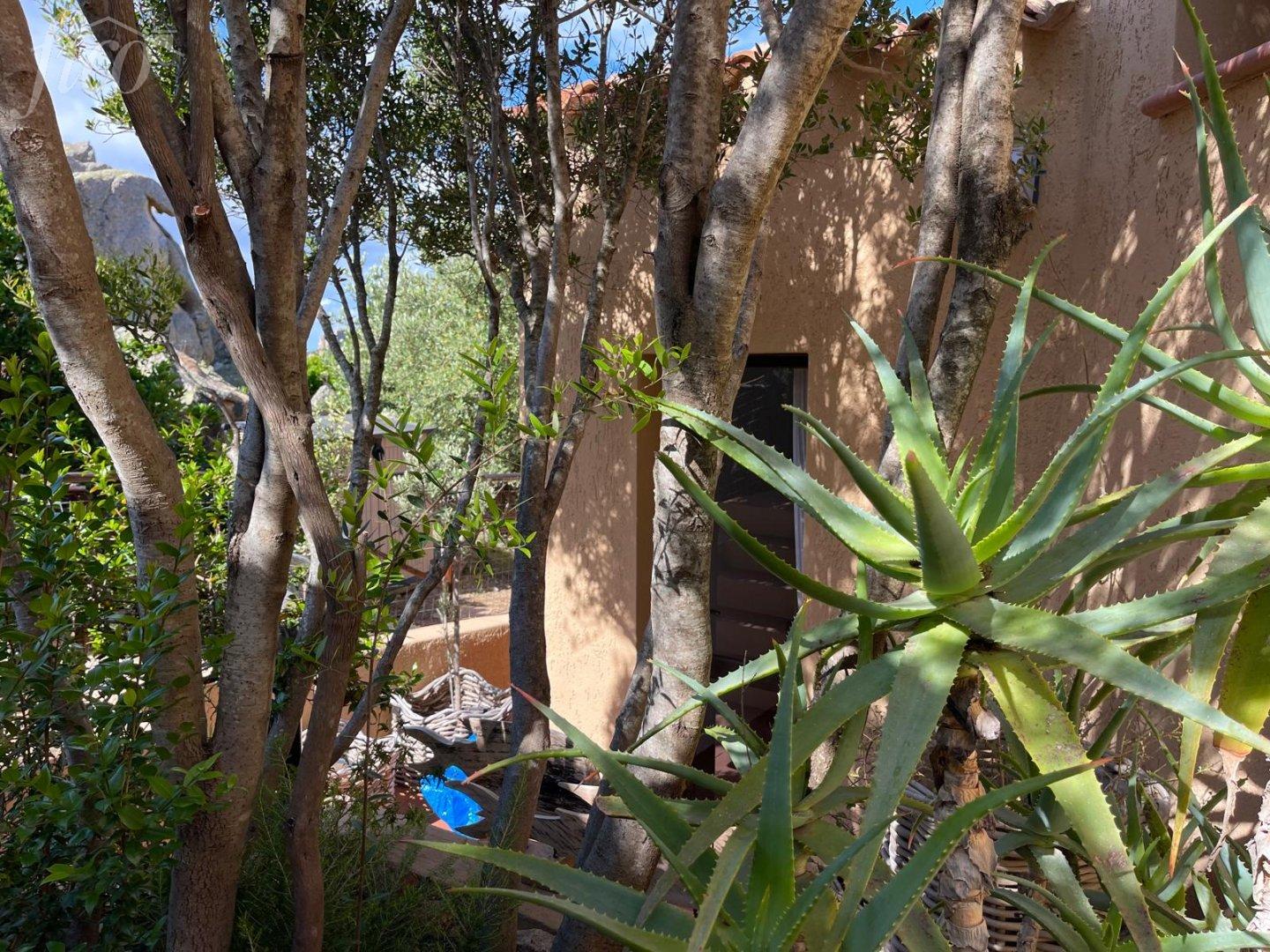 Sardinie - Costa Paradiso 2