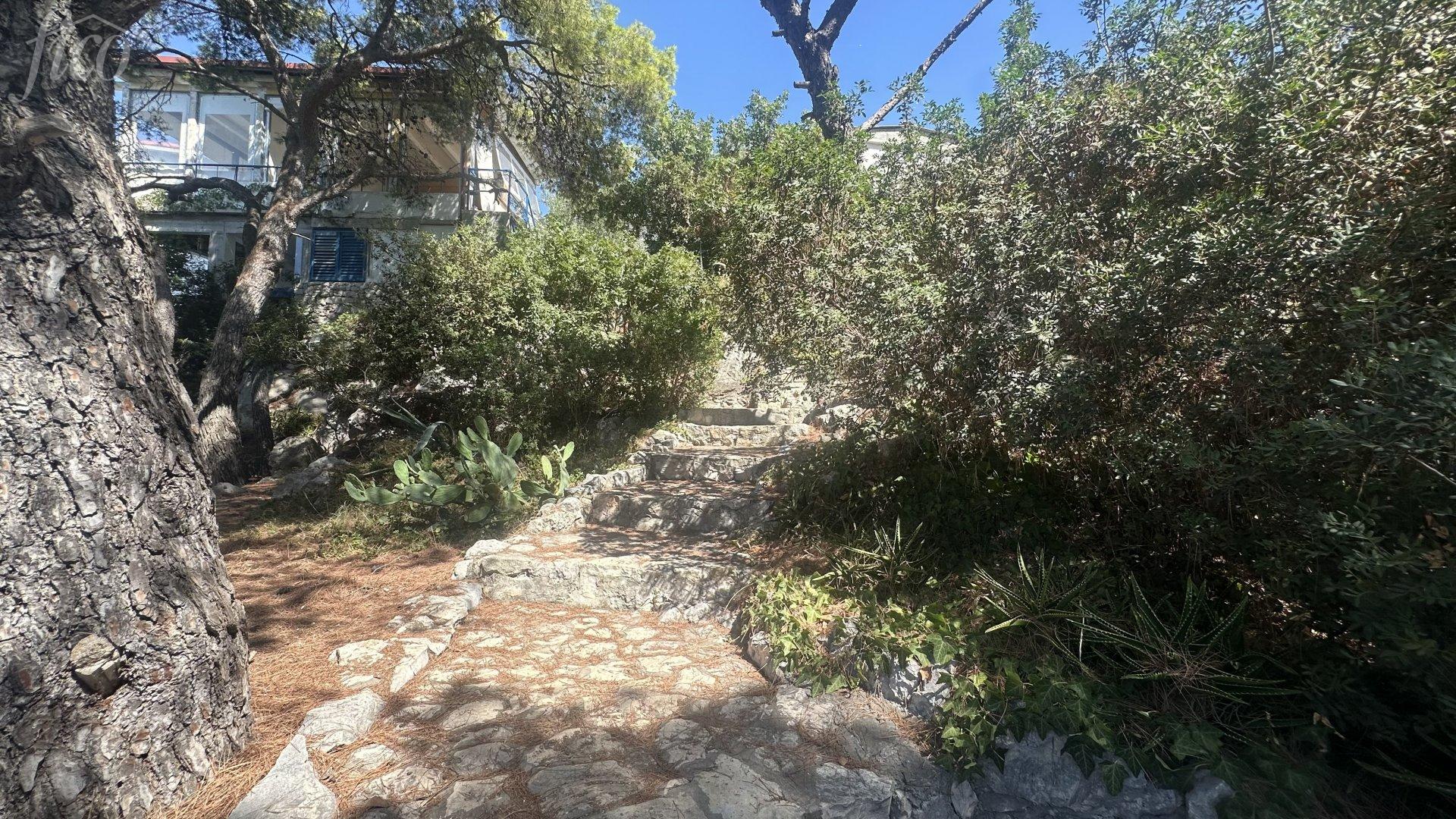 Ražanj u Rogoznice 2