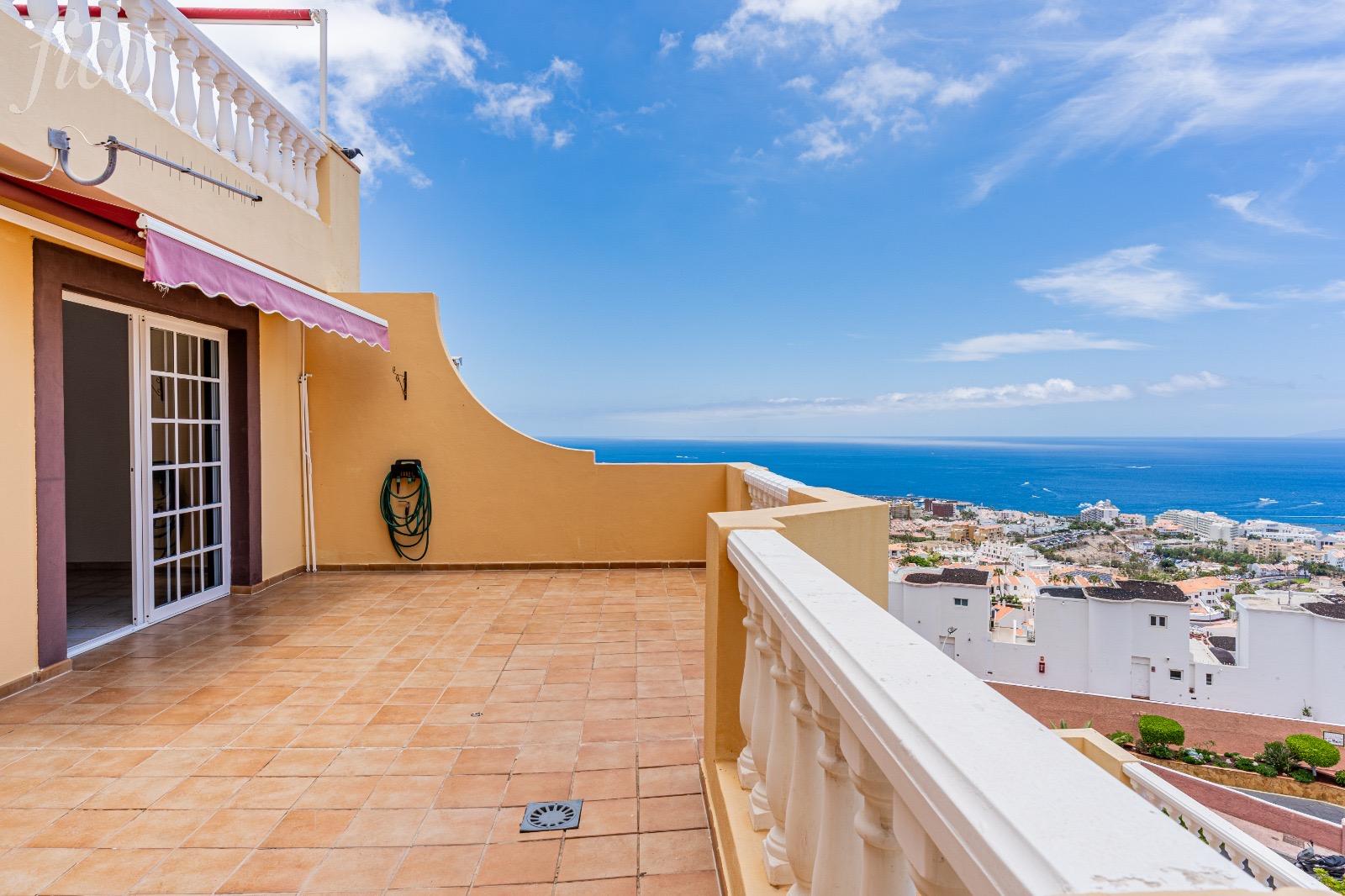 Tenerife - Torviscas Alto 7